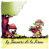 tisanière tisanière